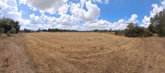 Земельный участок 11000м² в Ortelle, Италия № 261002 2