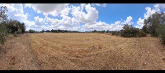 Земельный участок 11000м² в Ortelle, Италия № 261002 6