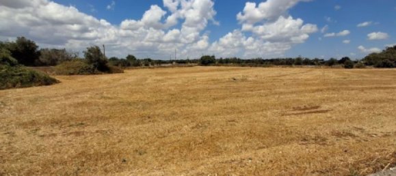 Земельный участок 11000м² в Ortelle, Италия № 261002 9