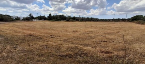 Земельный участок 11000м² в Ortelle, Италия № 261002 7