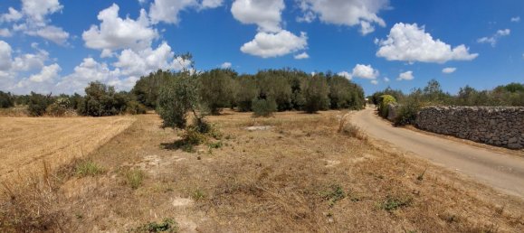 Земельный участок 11000м² в Ortelle, Италия № 261002 4