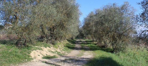 1 bedroom House in San Gimignano, Italy No. 371610 22