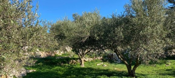  فندق في Vamos, Greece 20000متر مربع رقم 3370 2