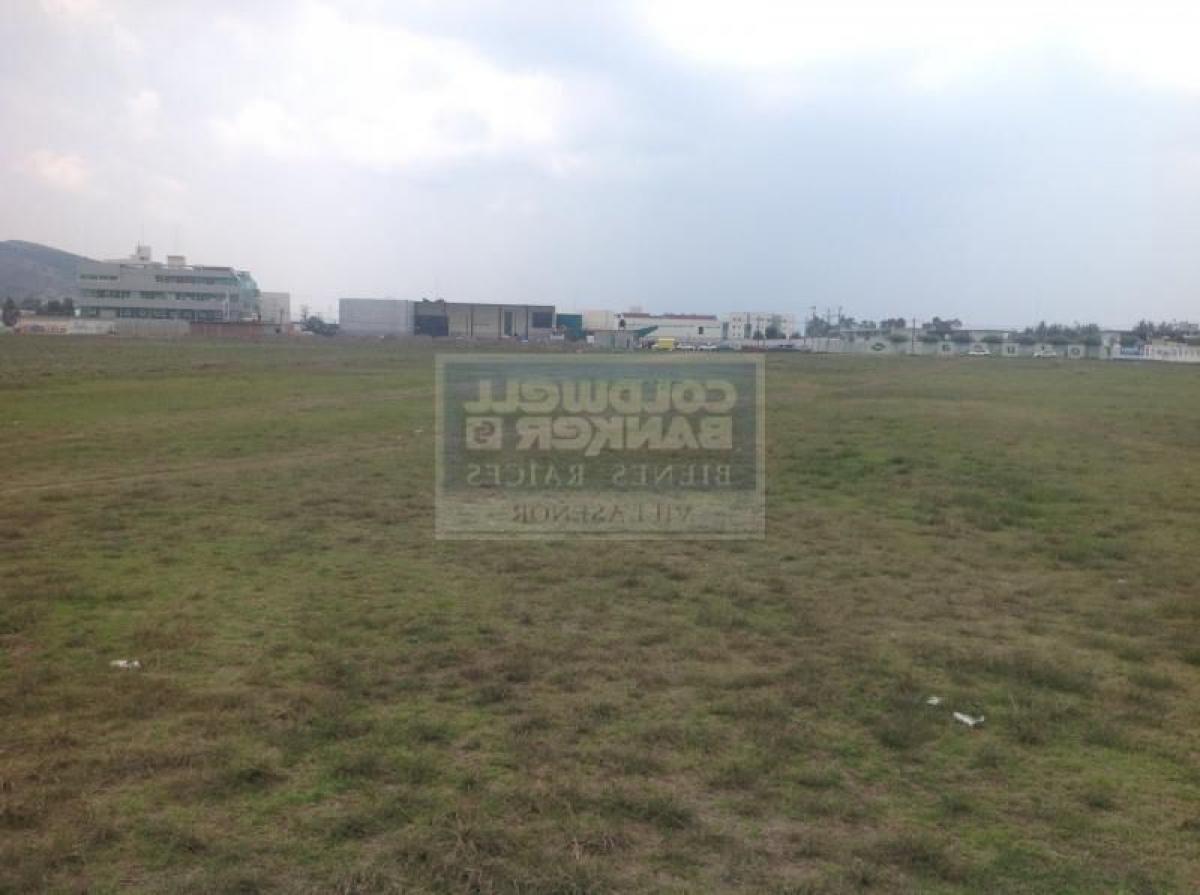  Land in San Buenaventura, Mexico No. 204324