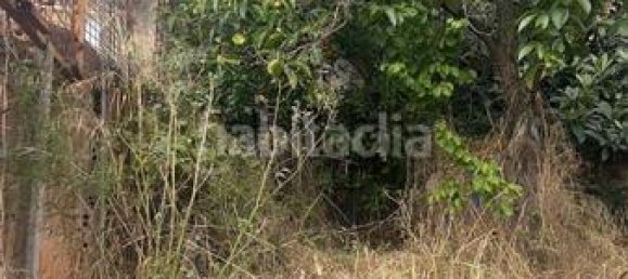 443m² Land in Polinya, Spain No. 133928 5