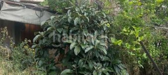 443m² Land in Polinya, Spain No. 133928 21