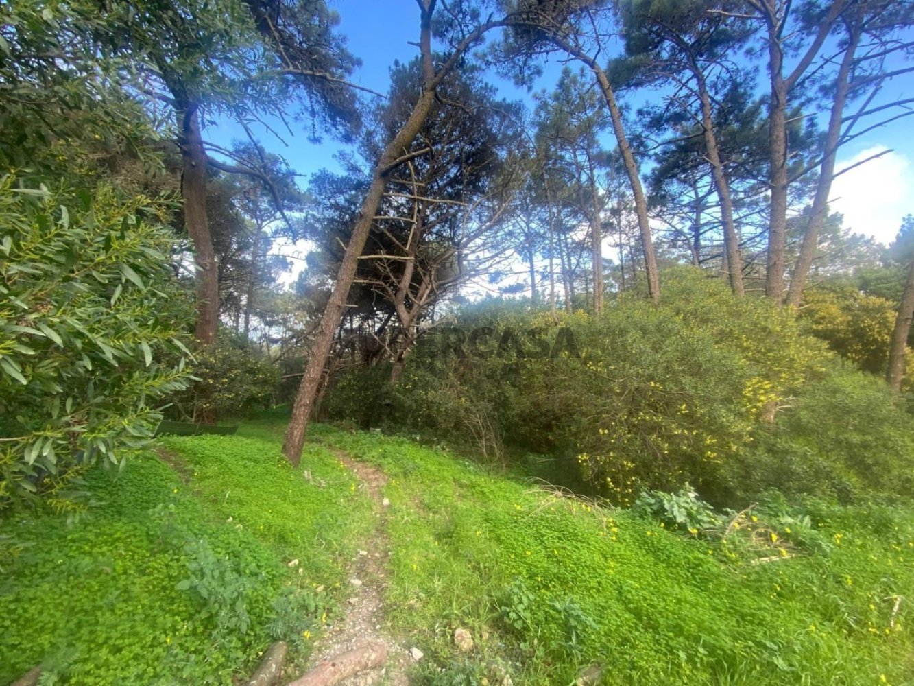 Terreno en Sintra, Portugal No. 221106