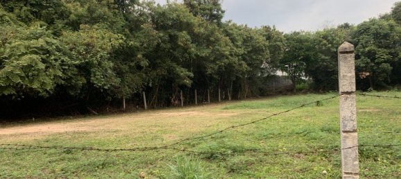 Gewerbliche Immobilie in Pattaya, Thailand, Nr. 3422 4