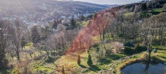 Terrain à Klosterneuburg, Austria No. 256241 15