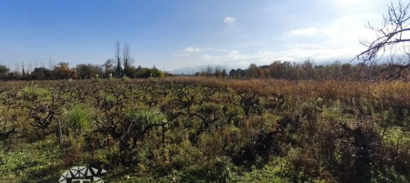 5110m² Land in Villelongue-dels-Monts, France No. 342131 2
