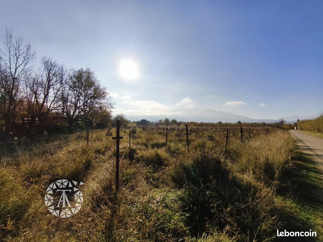 5110m² Land in Villelongue-dels-Monts, France No. 342131