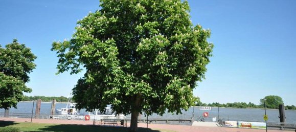 Casa de 4 dormitorios en Wesermarsch, Germany No. 129750 17