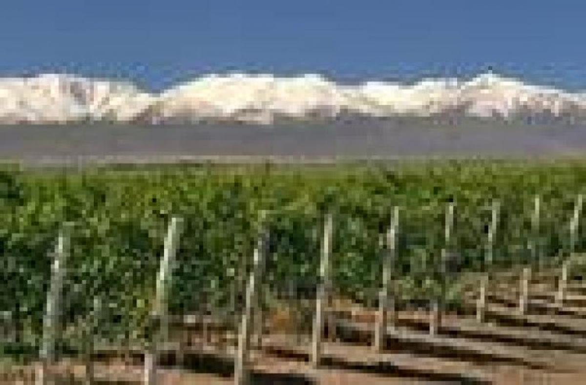 Коммерческая недвижимость в Мендоса, Аргентина № 23714