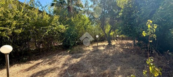 2 rooms Villa in Altavilla Milicia, Italy No. 294919 37