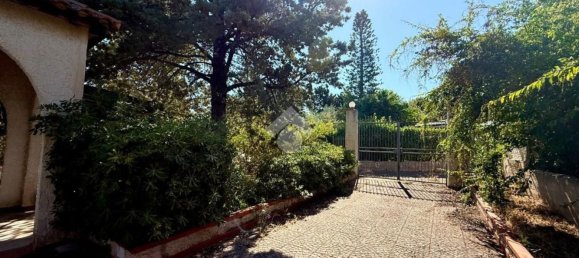 2 rooms Villa in Altavilla Milicia, Italy No. 294919 33