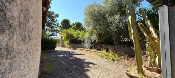 2 rooms Villa in Altavilla Milicia, Italy No. 294919 24