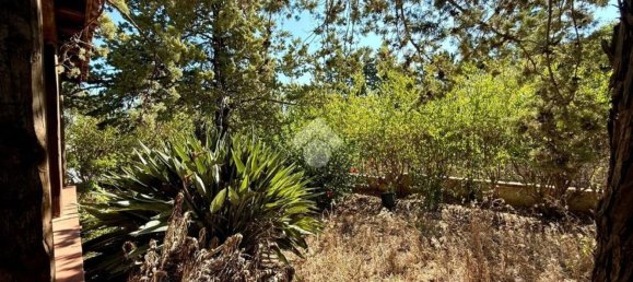 2 rooms Villa in Altavilla Milicia, Italy No. 294919 25