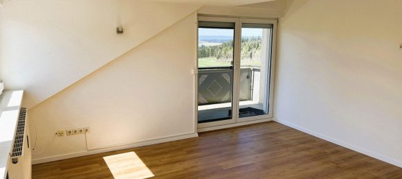 1 bedroom Apartment in Schwarzwald-Baar-Kreis, Germany No. 339122 9