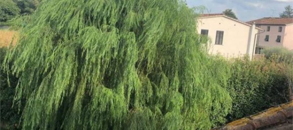 Villa T4 em Capannori, Italy N.º 325577 21