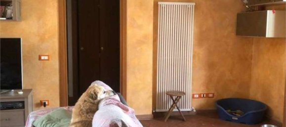 Villa T4 em Capannori, Italy N.º 325577 9