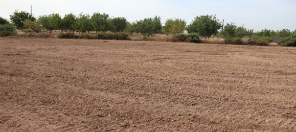  Land in Alicante, Spain No. 160963 5