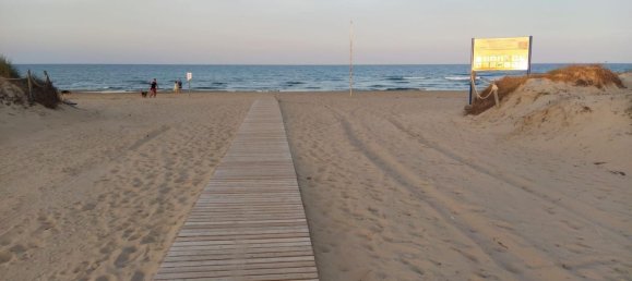 2 Schlafzimmer Wohnung in Guardamar del Segura, Spain, Nr. 28460 14