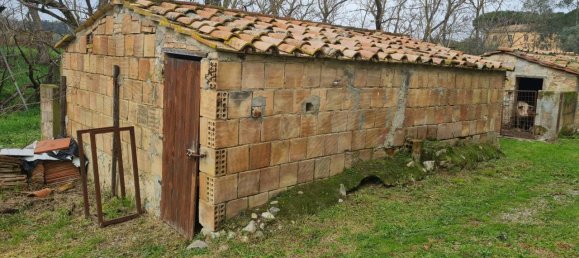 5-salle Maison à Civitella Paganico, Italy No. 67060 22