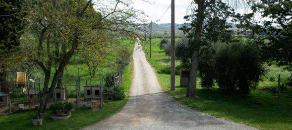 5-salle Maison à Civitella Paganico, Italy No. 67060 18
