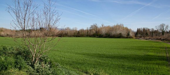 5-salle Maison à Civitella Paganico, Italy No. 67060 24