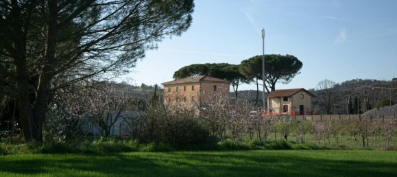 5-salle Maison à Civitella Paganico, Italy No. 67060 26