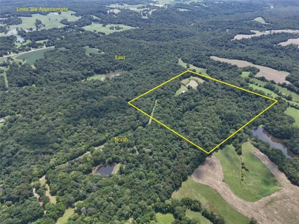 Studio in Murphysboro, USA No. 376387