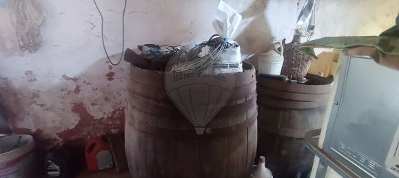 3 Schlafzimmer Haus in Alcobertas, Portugal, Nr. 30187 23