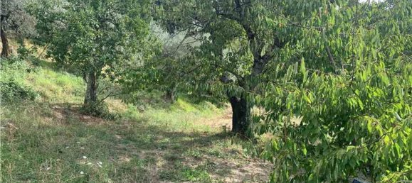 8 غرف نوم فيلا في Collazzone, Italy رقم 373074 32