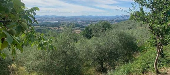 8 غرف نوم فيلا في Collazzone, Italy رقم 373074 35