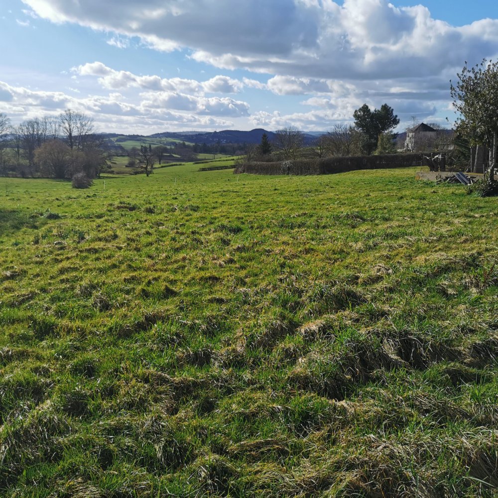 Land in Saint-Firmin, France No. 202396