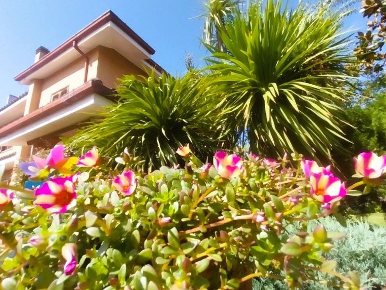 5 rooms Villa in Rome, Italy No. 11193