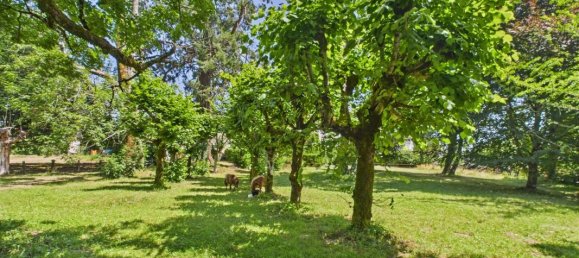 Castelos T7 em Dordogne, France N.º 342365 20
