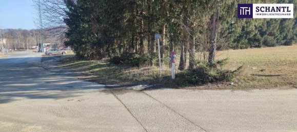  قطعة أرض في Wildon, Austria 21806متر مربع رقم 195654 5