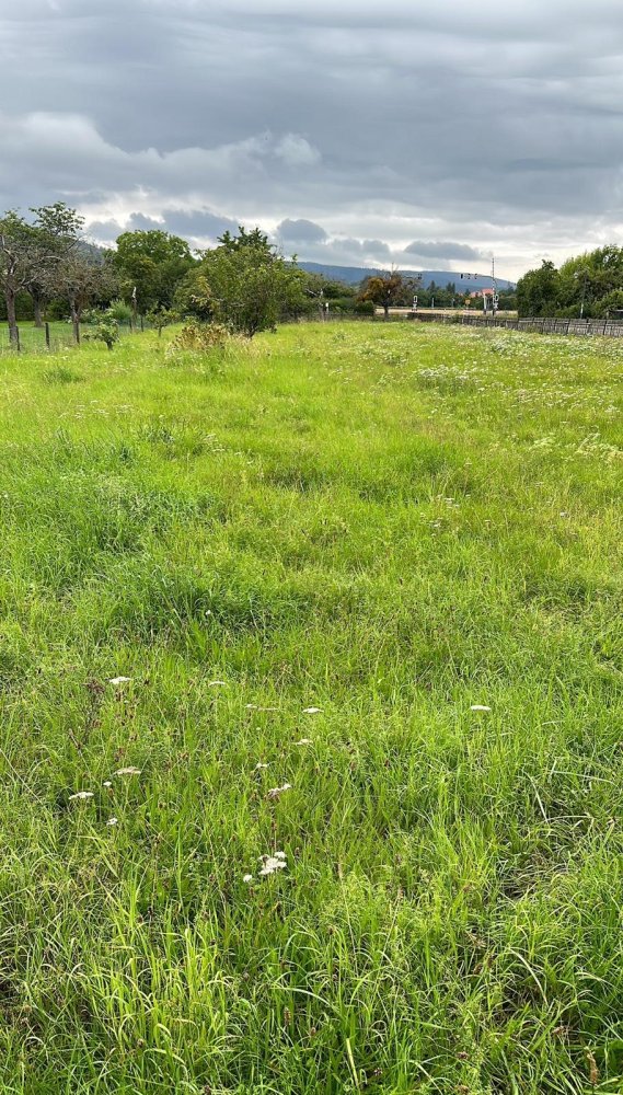 Terreno em Harz, Germany N.º 270153