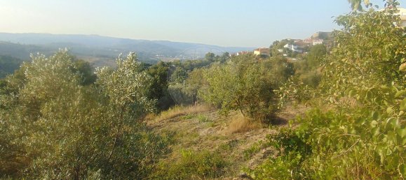 3 chambres Maison à Celorico da Beira, Portugal No. 29082 21