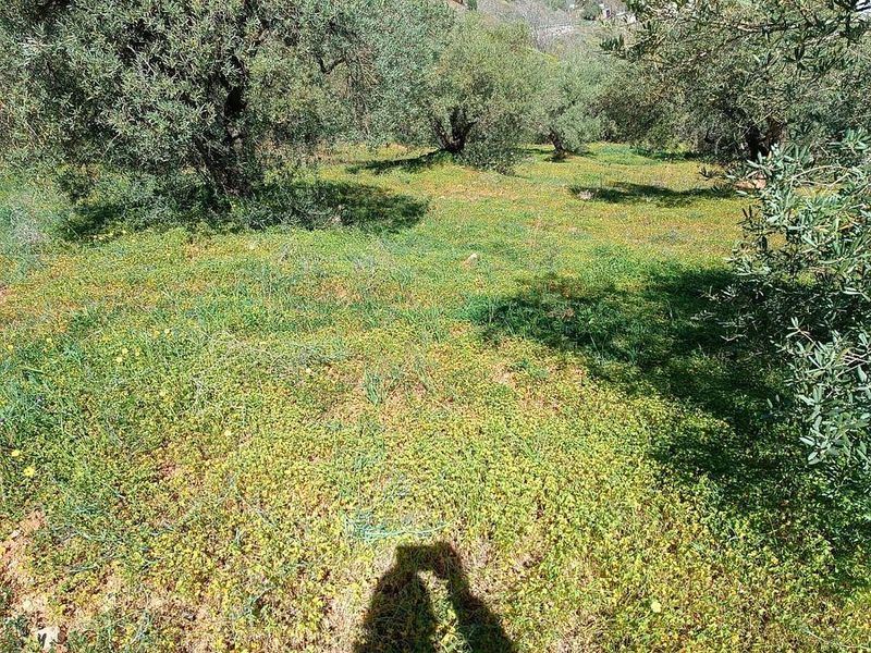 Terreno en Málaga, Spain 3500 m² No. 223773