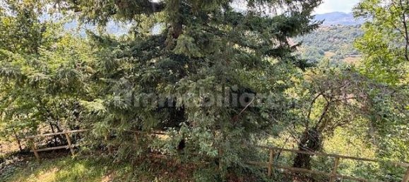 6 bedrooms Villa in San Benedetto Val di Sambro, Italy No. 349745 5