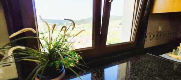 Дом с 4 спальнями в Сото-дель-Барко, Испания № 162500 10