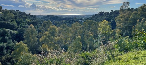  Land in Estepona, Spain No. 25704 5