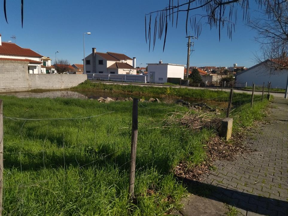  Land in Lardosa, Portugal No. 278693
