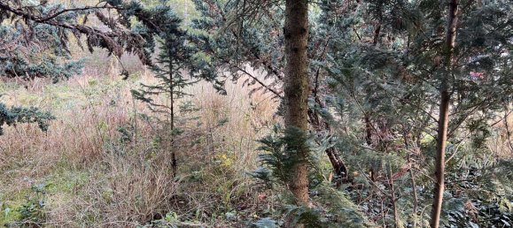 4غرفة تاون هاوس في Teltow-Flaming, Germany رقم 29440 17