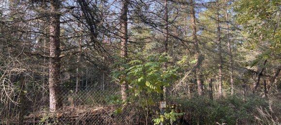 4غرفة تاون هاوس في Teltow-Flaming, Germany رقم 29440 18