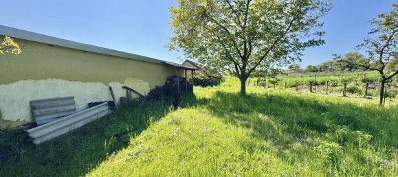  قطعة أرض في Langenlois, Austria 64متر مربع رقم 260002 5