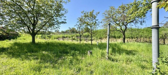  قطعة أرض في Langenlois, Austria 64متر مربع رقم 260002 3