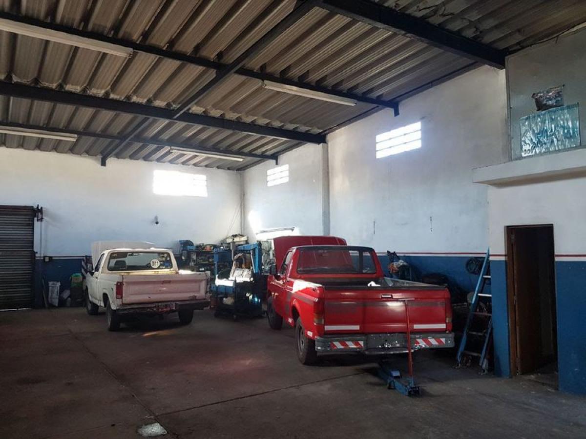 Bâtiment à Mar del Plata, Argentina 233m² No. 104759